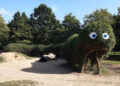 The caterpillar. Pic: WBC.