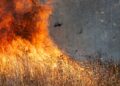 Help prevent open fires this summer. Picture: Ted Erski via Pixabay