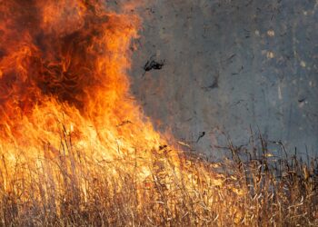 Help prevent open fires this summer. Picture: Ted Erski via Pixabay