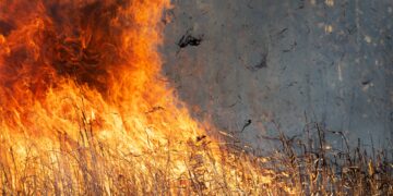 Help prevent open fires this summer. Picture: Ted Erski via Pixabay