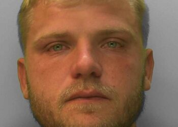 Ryan Dinnage was sentenced at Reading Crown Court