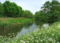 The River Loddon in Lower Earley. Newly-installed waymarkers now signpost the area's Lower Earley Green Corridor Trail. Picture: Des Blenkinsopp via Wikimedia Commons