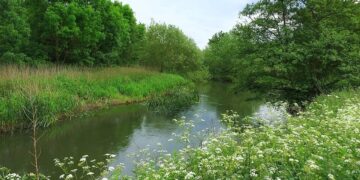 The River Loddon in Lower Earley. Newly-installed waymarkers now signpost the area's Lower Earley Green Corridor Trail. Picture: Des Blenkinsopp via Wikimedia Commons