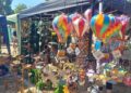 Earley Green Fayre was a great success, says Earley Town Council. Picture: ETC