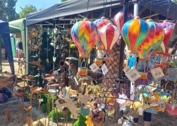 Earley Green Fayre was a great success, says Earley Town Council. Picture: ETC