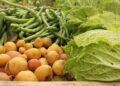 Wokingham in Bloom volunteers enjoyed bringing in a harvest at Westende Junior garden. Picture: Tuoc Chu via Pixabay