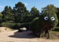 The living willow caterpillar in the nature play area has been carefully shaped, woven and restored by rangers.