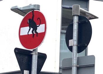 Could Banksy be in town? Painted animals appear on Wokingham roadsigns. Picture: Emma Merchant