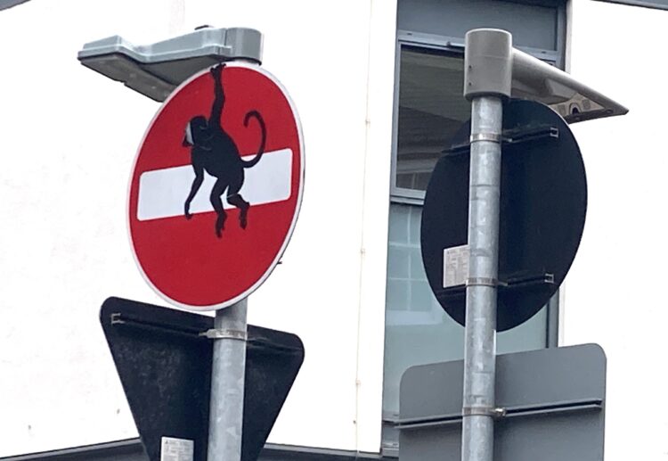 Could Banksy be in town? Painted animals appear on Wokingham roadsigns. Picture: Emma Merchant