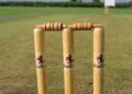 Cricket Picture: Wikimedia Commons