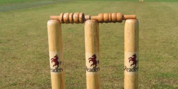 Cricket Picture: Wikimedia Commons