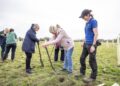 An event to open Covid Memorial Woodland will give people an opportunity to walk through the trees at sunset. Picture: WBC
