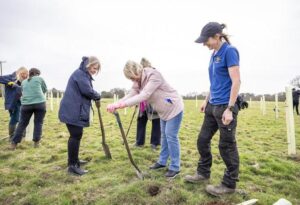 The borough remembers: Covid Memorial Woodland opens to the public
