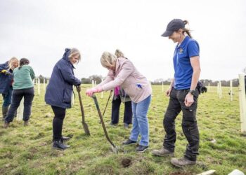 An event to open Covid Memorial Woodland will give people an opportunity to walk through the trees at sunset. Picture: WBC