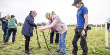 An event to open Covid Memorial Woodland will give people an opportunity to walk through the trees at sunset. Picture: WBC