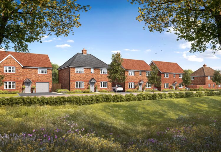 Holme Meadows in South Wokingham.