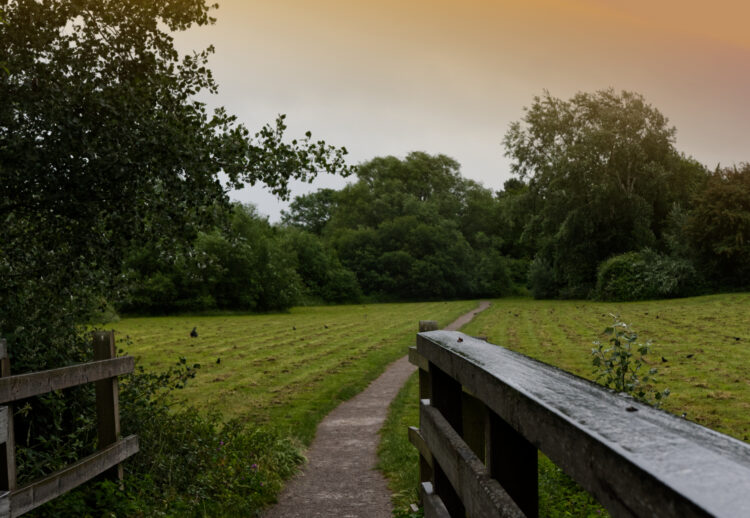 Join a group to tidy up an Emmbrook field. Picture: St Nicholas Church